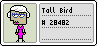 Tall Bird